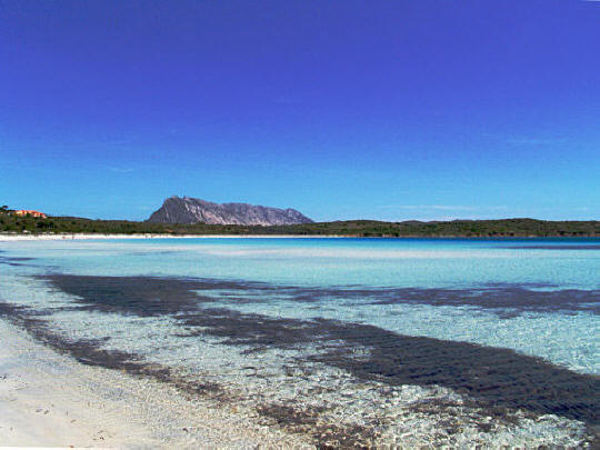 Sardinien, Cala Brandinchi