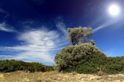 Das Landesinnere Sardiniens