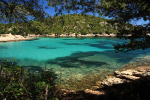 Cala Moresca: Aussicht