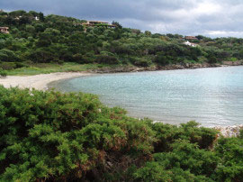 Porto Rotondo: Strand